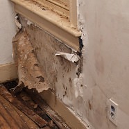 Mold Remediation & Clean-up